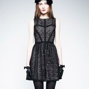 Erin Fetherston Black Lace Pink Fit Flare Mini Cocktail Dress 8 sleeveless party